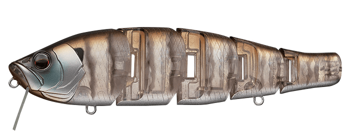 Evergreen Royal Flash