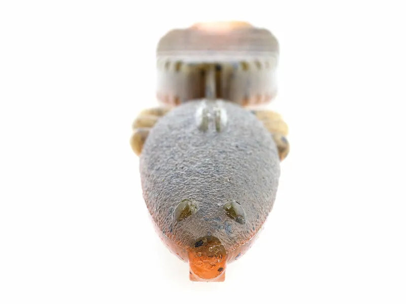 Keitech Paddlin' Beaver 3,5"