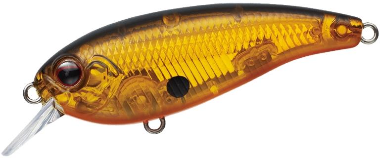 Belcanto à feuilles persistantes