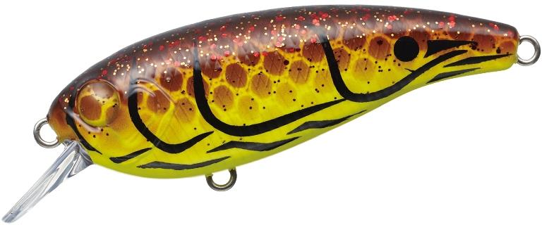 Belcanto à feuilles persistantes