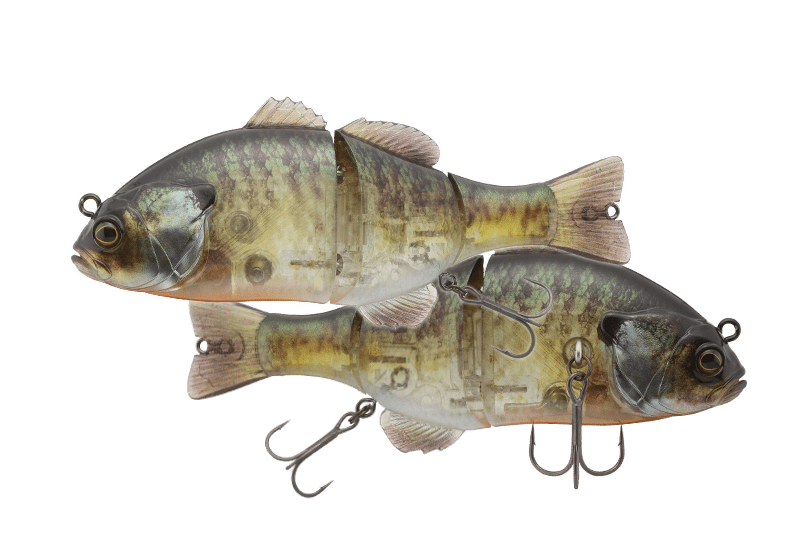 Jackall Chibitarel DR