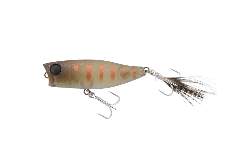 Jackall Chubby Popper 42