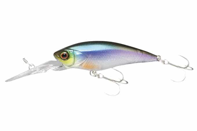 Jackall D-Bill Shad 55MR