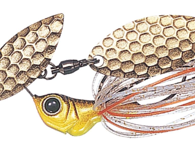 Evergreen D-Zone Fry