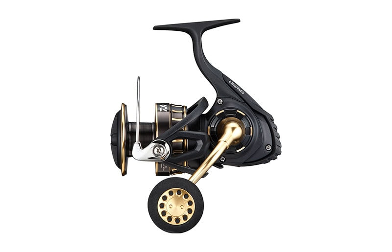 Daiwa BG SW