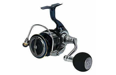 Daiwa '19 Certate LT