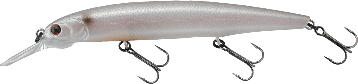 Imakatsu Dardo 100SP