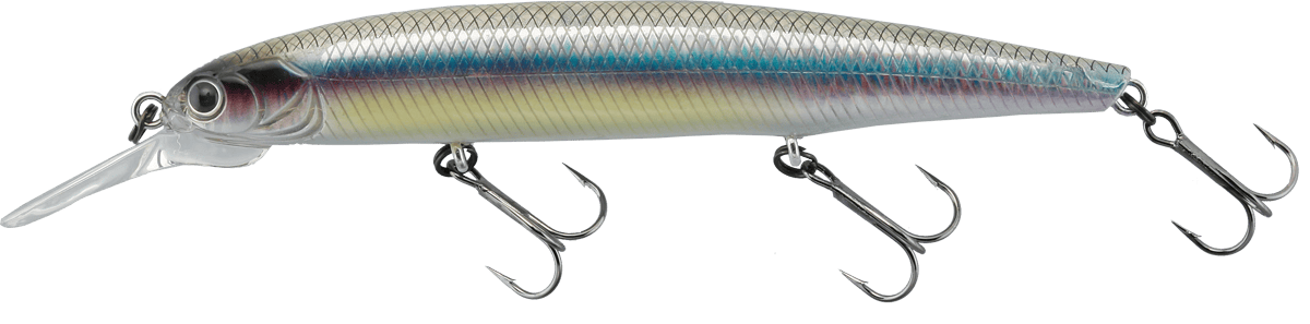 Imakatsu Dardo 100SP