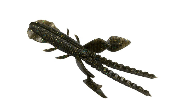 Insecte empel des Galapagos