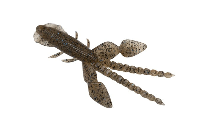 Insecte empel des Galapagos