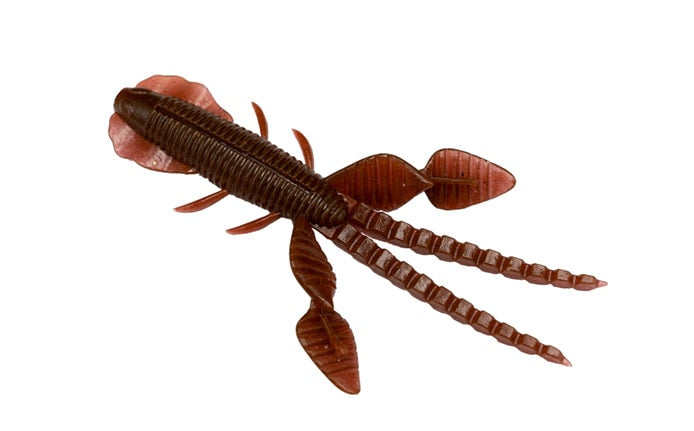 Insecte empel des Galapagos