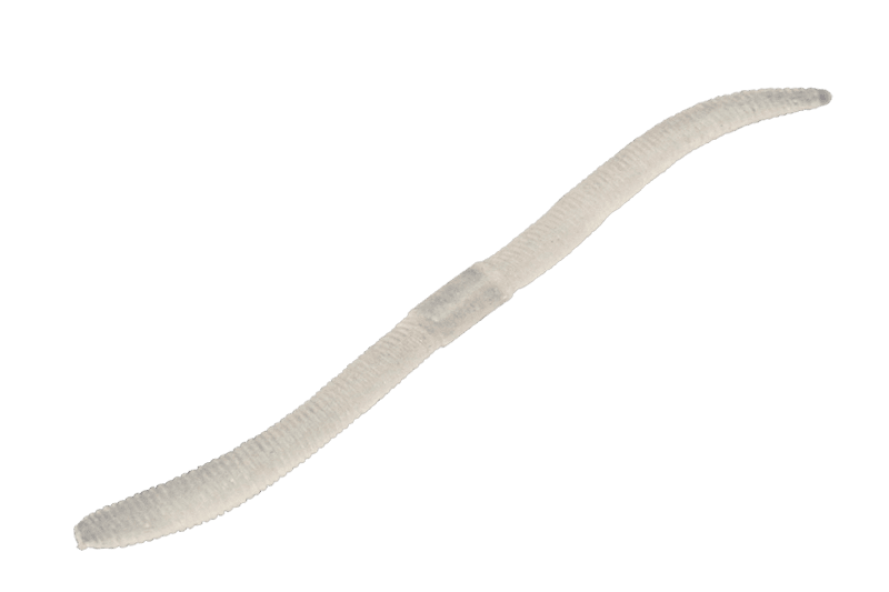 Jackall Flick Shake Sight Magic 4.8"