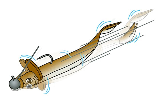 Frilled Shad moving