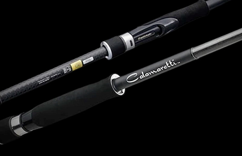 Graphiteleader '20 Calamaretti