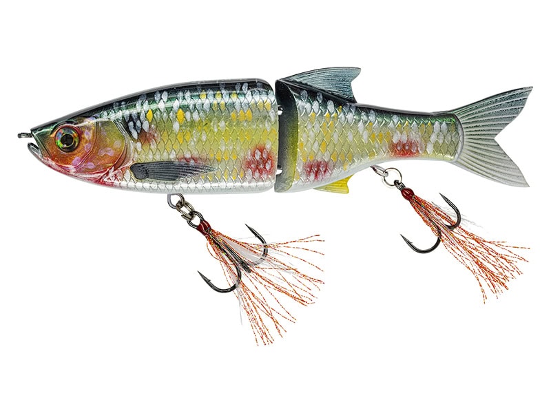 Molix Glide Bait 178 by Baroni Baits