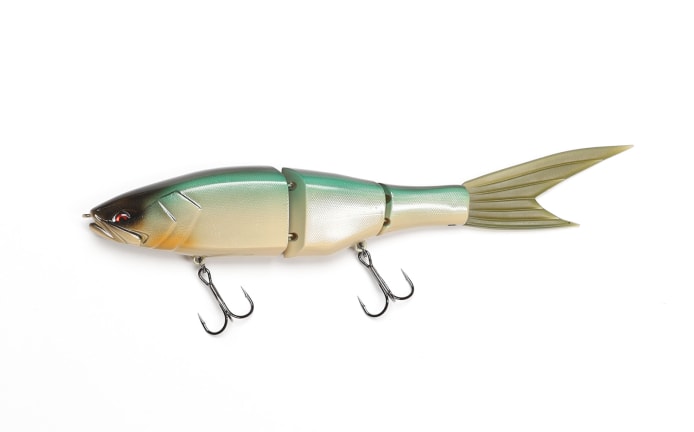 Galapagos Grace 240F