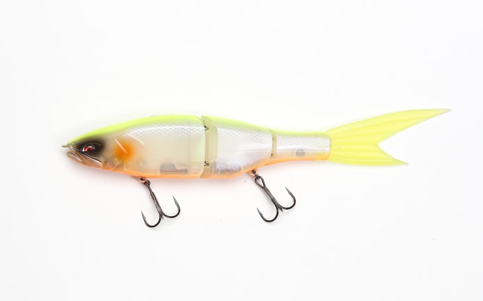 Galapagos Grace 240F