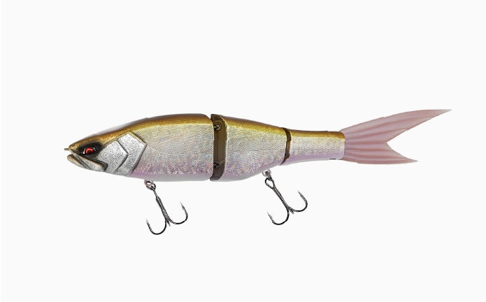 Galapagos Grace 240F