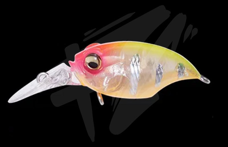 Megabass MR-X Griffon