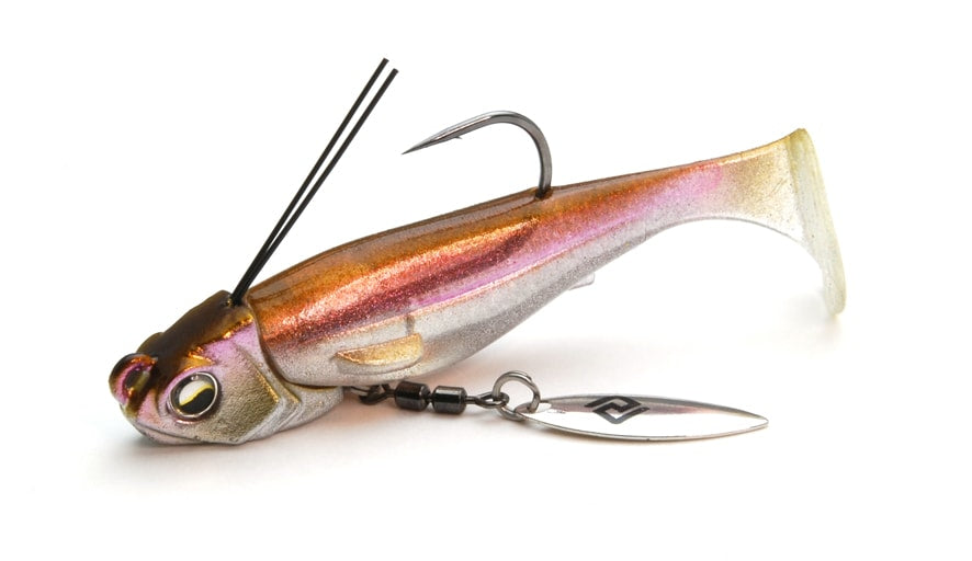 Libéro de la natation en chef de Raid Japan