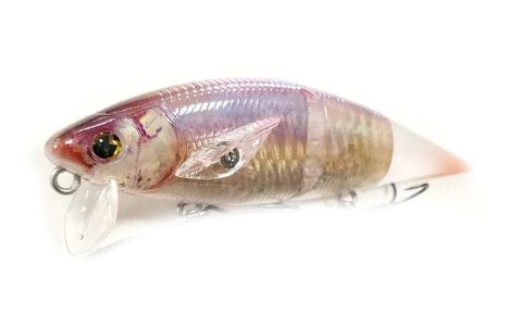 Madotachi Hanitas LR