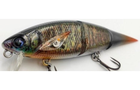 Madotachi Hanitas LR