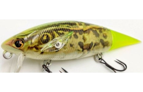 Madotachi Hanitas LR