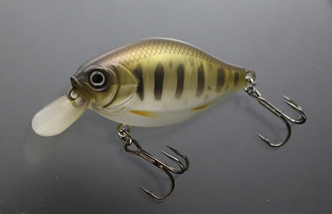 Issei GC Shallow Crank 52SR