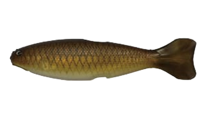 YG.Labo Dorvus 180