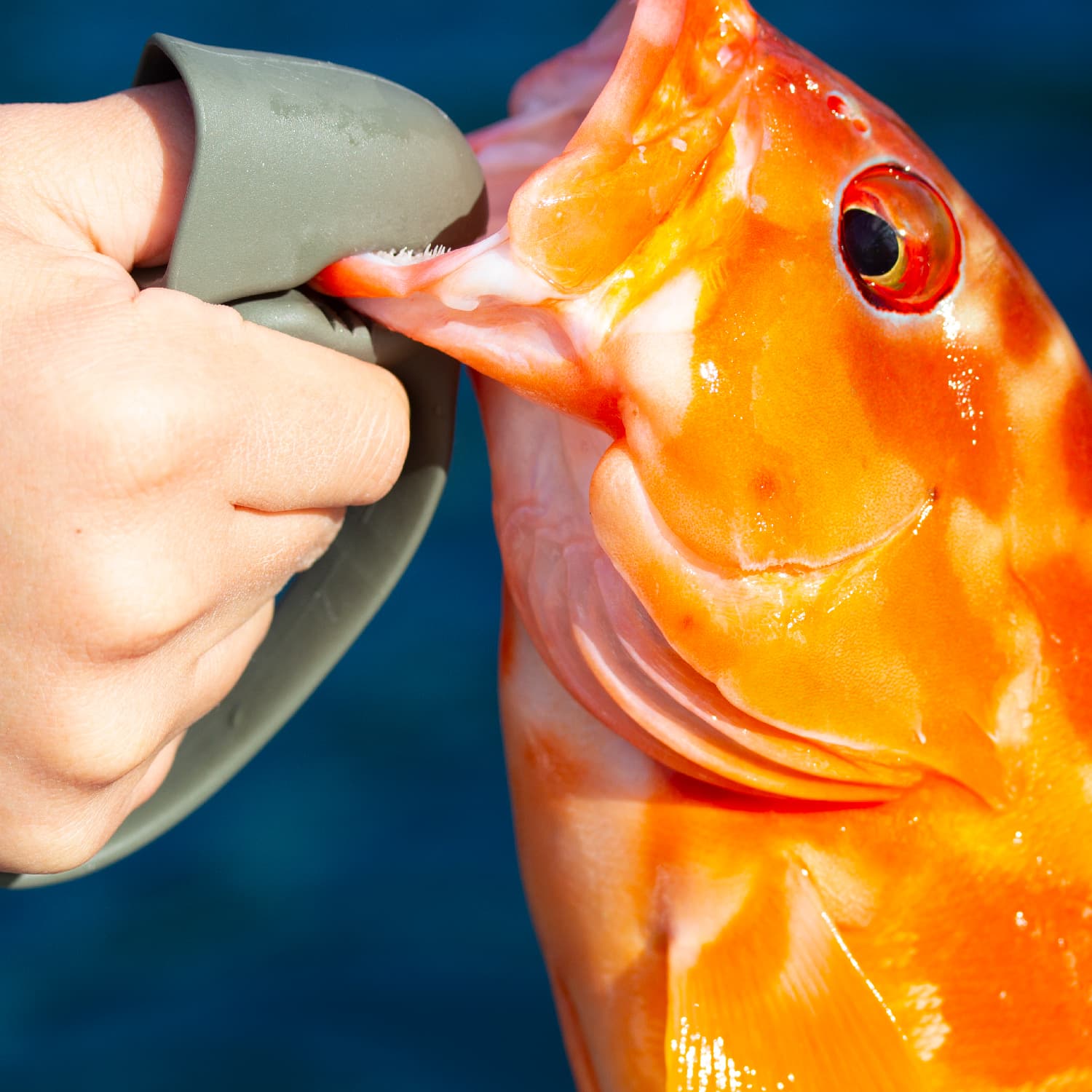 Poignée Daiichiseiko MC