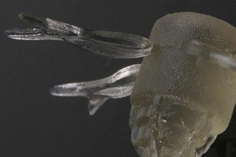 Jackall Jimmy Henge 42