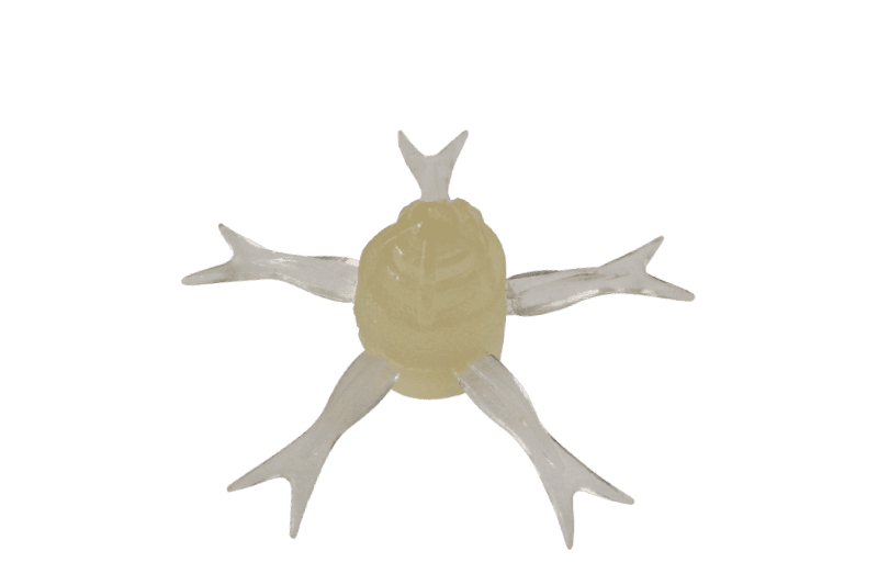 Jackall Jimmy Henge 42