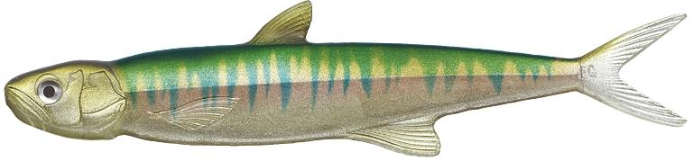 Evergreen Last Ace 168