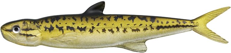 Evergreen Last Ace 168