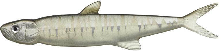 Evergreen Last Ace 168