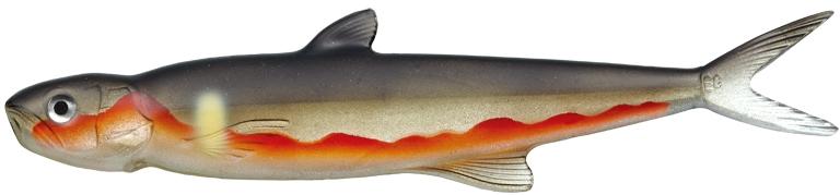 Evergreen Last Ace 168