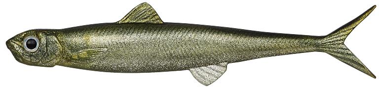 Evergreen Last Ace 95 F