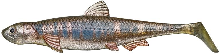 Evergreen Last Ace 140 Swim