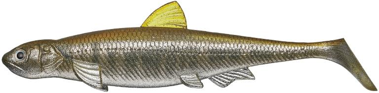 Evergreen Last Ace 140 Swim