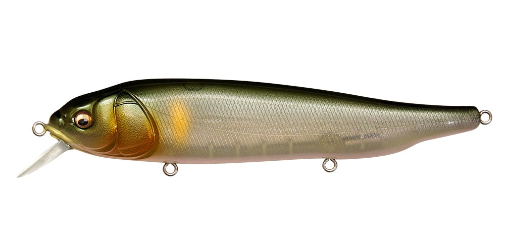 Megabass Lates Feeding Woofer