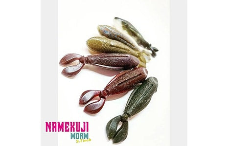 Laysam Namekuji Worm