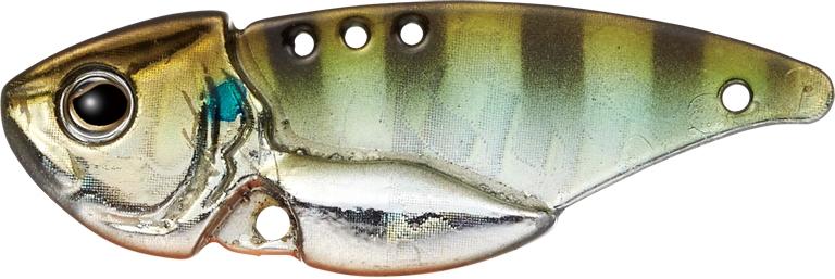 Muscle TG Evergreen Little Max