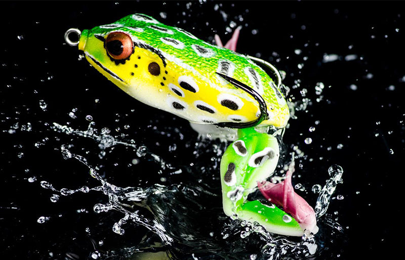 Molix Frog