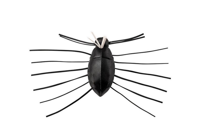 Jackall a besoin d'insectes