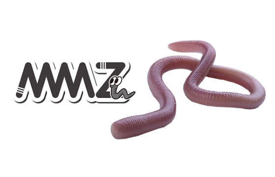 OSP MMZ Worm