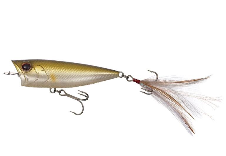 L'insecte d'Evergreen One