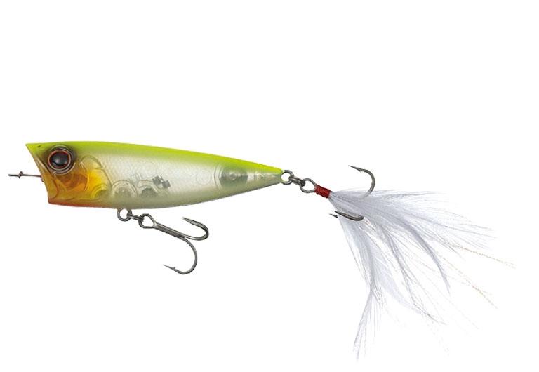 L'insecte d'Evergreen One