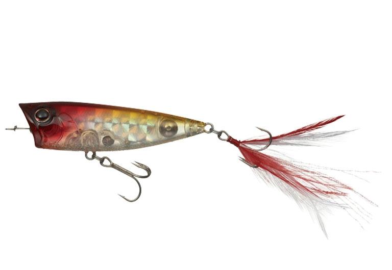 L'insecte d'Evergreen One