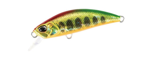 Duo Spearhead Ryuki 38S