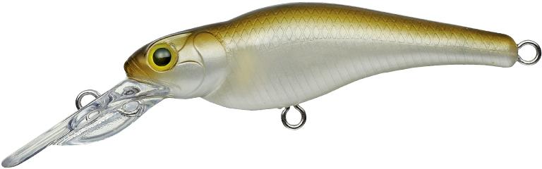 Evergreen Spin Move Shad